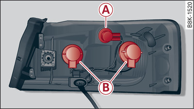 Halogen rear light: Position of bulbs